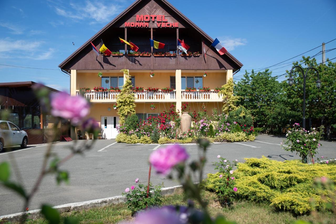Motel Moara Veche Săcălăşeni Exterior foto