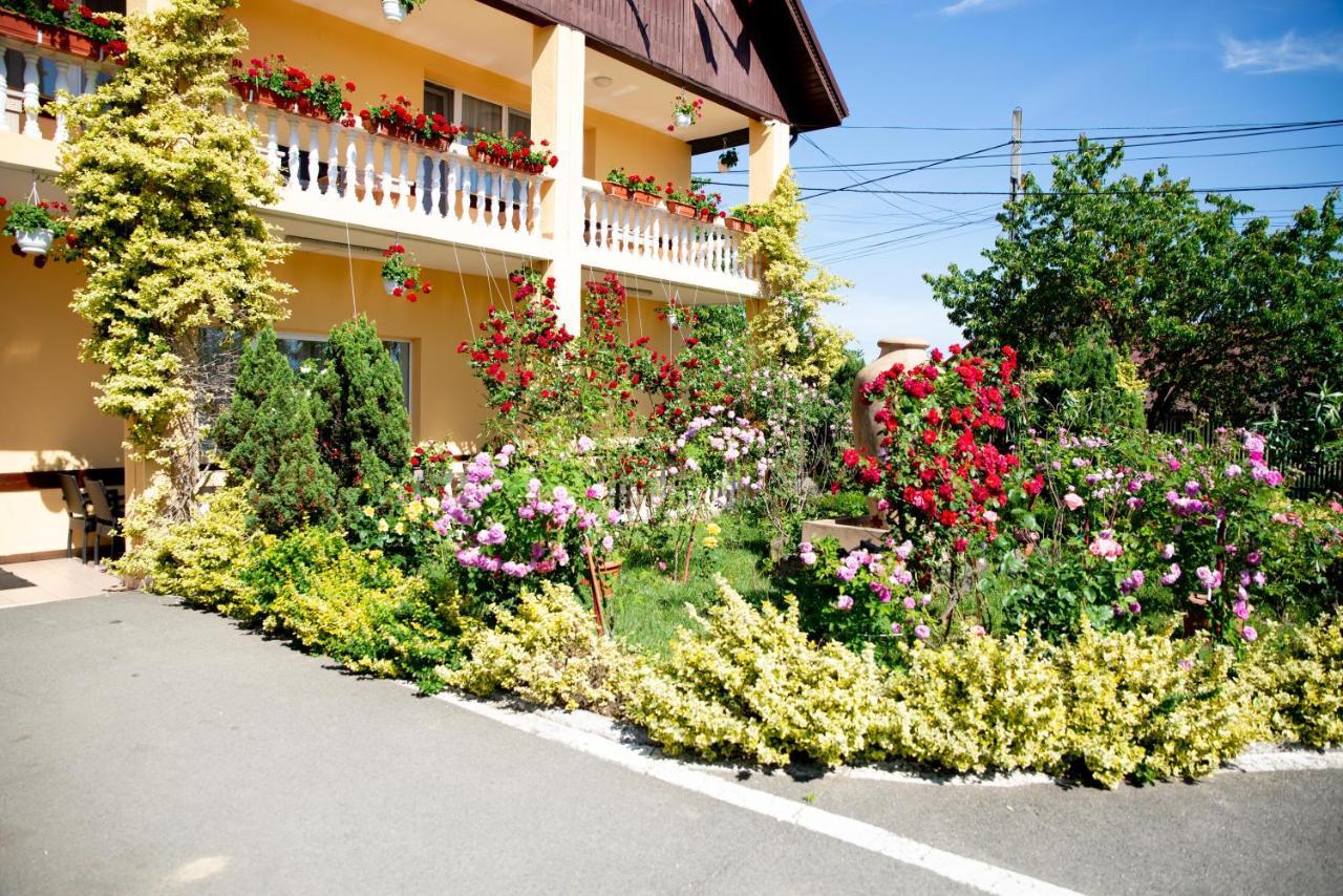 Motel Moara Veche Săcălăşeni Exterior foto